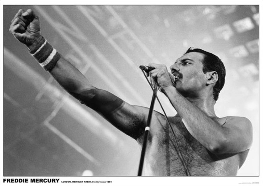 Close, Plakat, Queen Freddie Mercury Wembley 1984, 84x59,5 cm