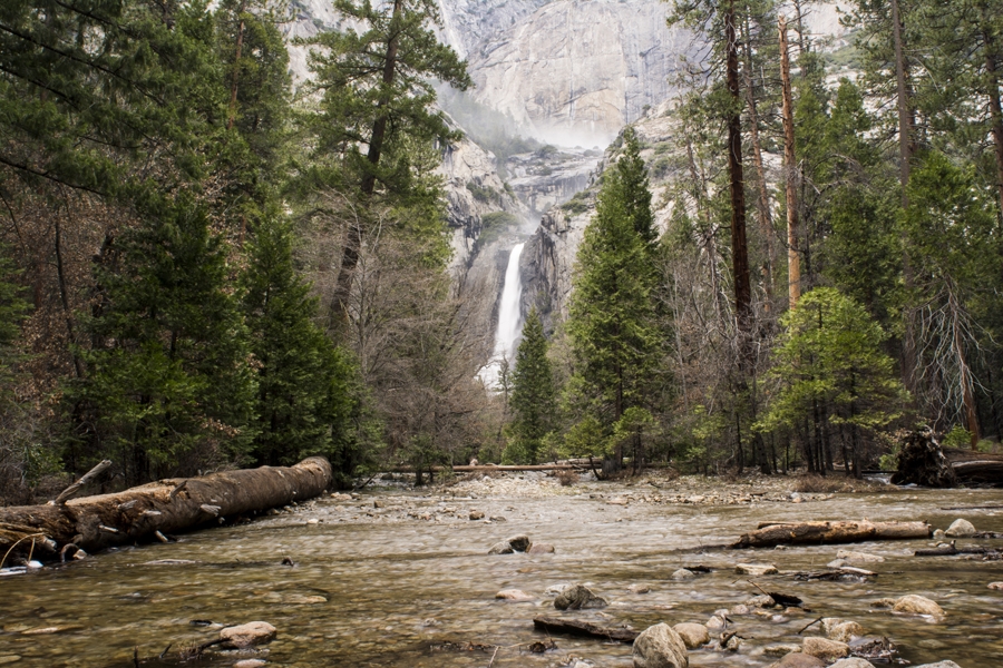 Reinders, Plakat, Wodospad w lesie, 42x29,7 cm