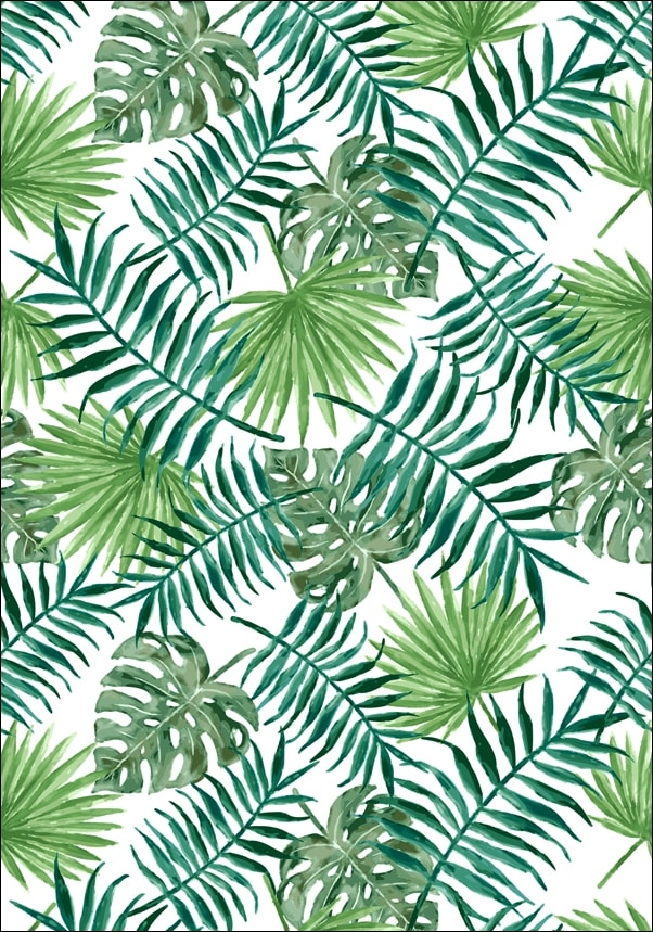 Galeria Plakatu, Plakat, Liście tropikalne, 40x50 cm