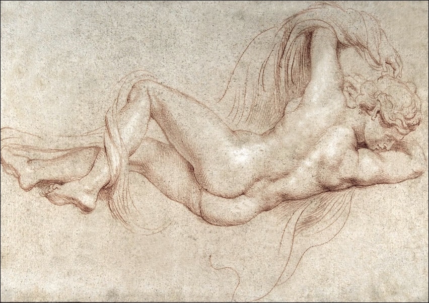 Galeria Plakatu, Plakat, Hermaphrodite, Rubens, 60x40 cm