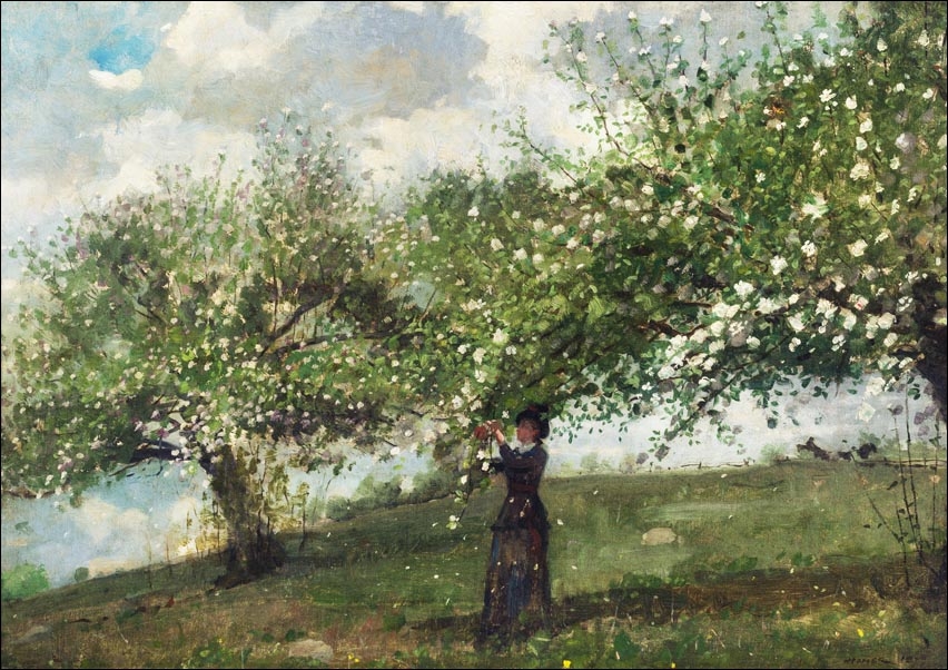 Galeria Plakatu, Plakat, Girl Picking Apple Blossoms, Winslow Homer, 40x30 cm