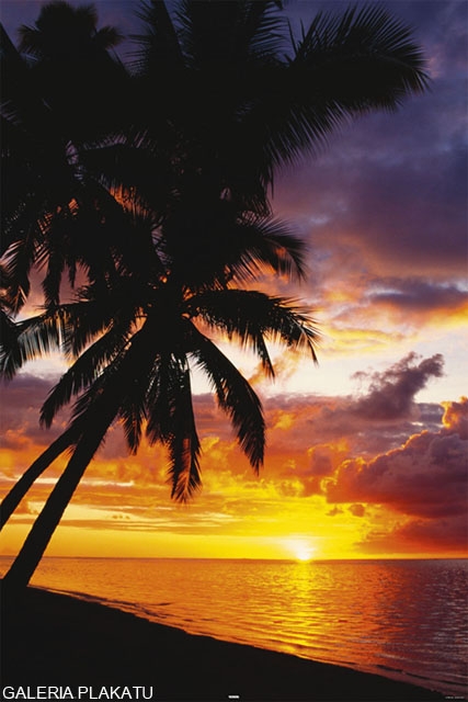 Plakat, Zachód Słońca na Plaży, 61x91,5 cm