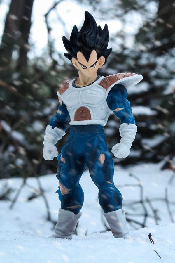 Plakat, Dragon Ball Z - Vegeta, 20x30 cm