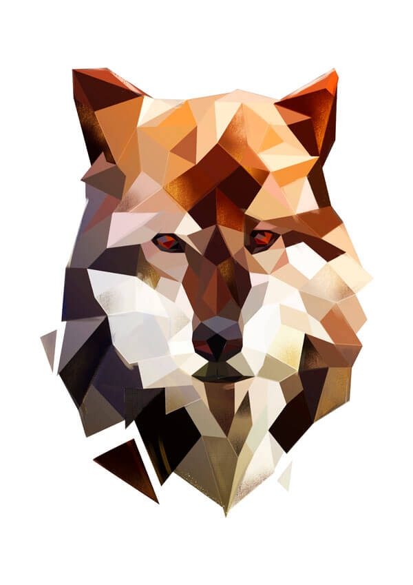 Wilk białe tło - plakat Wymiar do wyboru: 50x70 cm