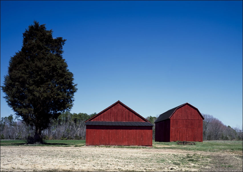 Red barns ion a tidy Amish farm in St. Mary’s County, Maryland., Carol Highsmith - plakat 42x29,7 cm