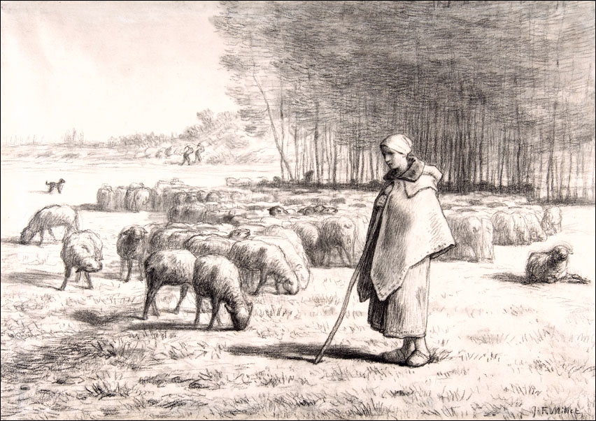 A Shepherdess with Her Flock, Jean-François Millet - plakat Wymiar do wyboru: 70x100 cm