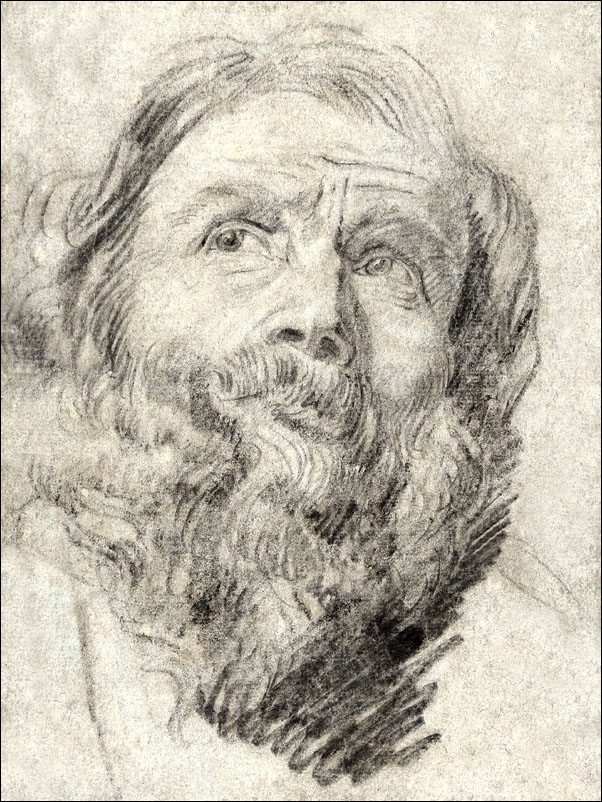 Head of an Apostle, Anthony van Dyck - plakat Wymiar do wyboru: 40x50 cm