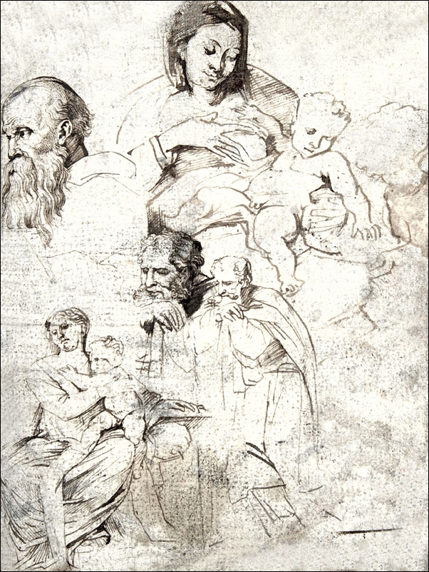 Sheet of Studies, Anthony van Dyck - plakat Wymiar do wyboru: 40x50 cm