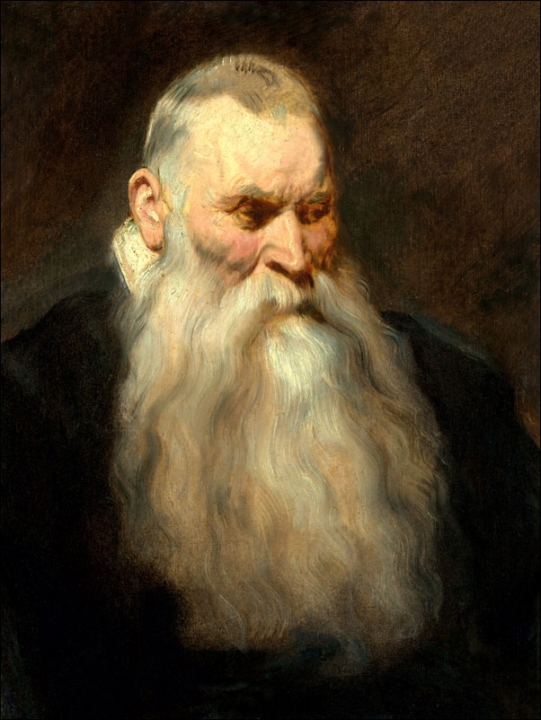 Study Head of an Old Man with a White Beard, Anthony van Dyck - plakat Wymiar do wyboru: 40x60 cm