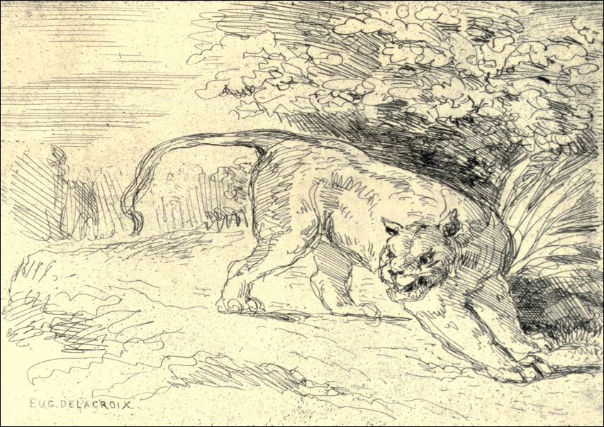 Tigre en Arrêt, Eugène Delacroix - plakat Wymiar do wyboru: 61x91,5 cm