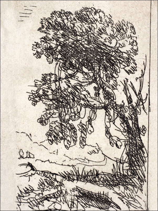 The Two Landscapes (Left Tree), Claude Lorrain - plakat Wymiar do wyboru: 50x70 cm