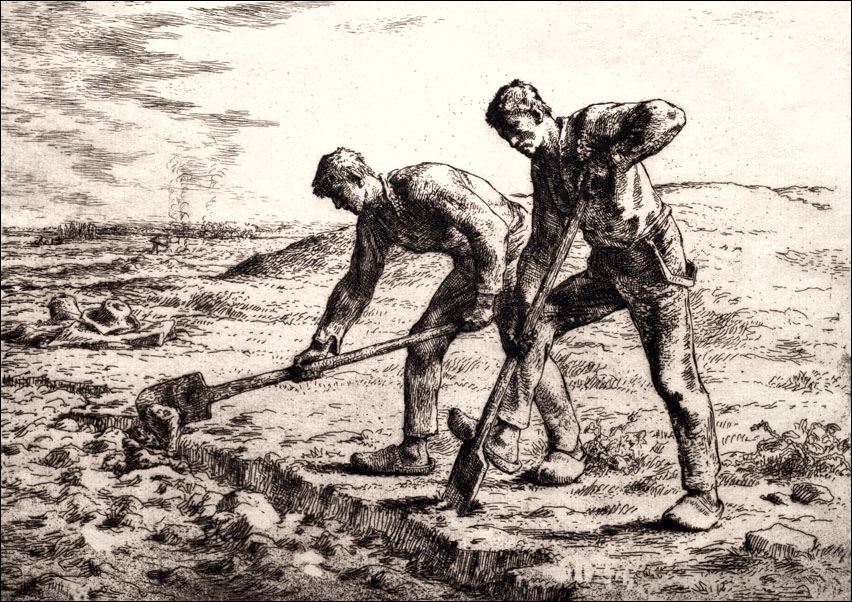 top The Diggers, Jean-François Millet - plakat Wymiar do wyboru: 100x70 cm