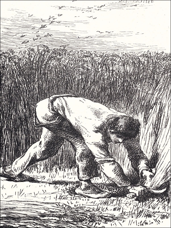 The Reaper, Jean-François Millet - plakat Wymiar do wyboru: 40x50 cm