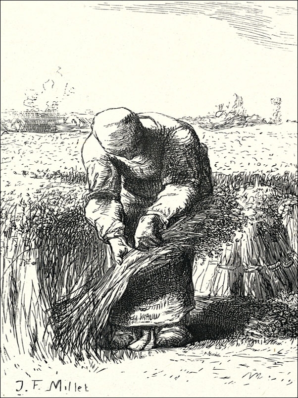 The Wheat Gatherer, Jean-François Millet - plakat Wymiar do wyboru: 70x100 cm