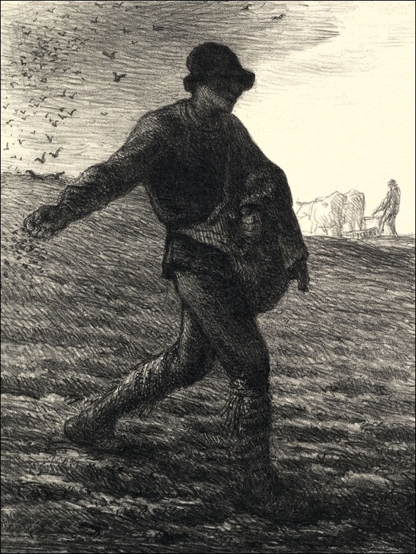 The Sower, Jean-François Millet - plakat Wymiar do wyboru: 50x70 cm