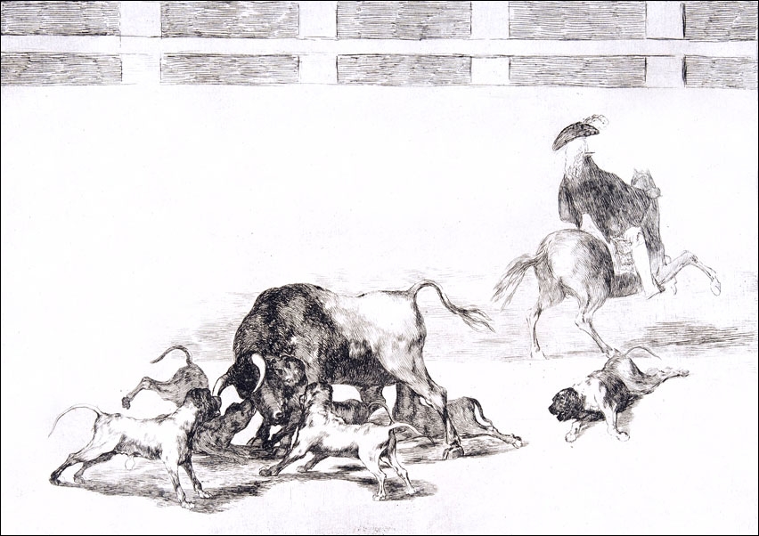 Plate 25 from the Tauromaquia- They loose dogs on the bull, Francisco Goya - plakat Wymiar do wyboru: 70x50 cm