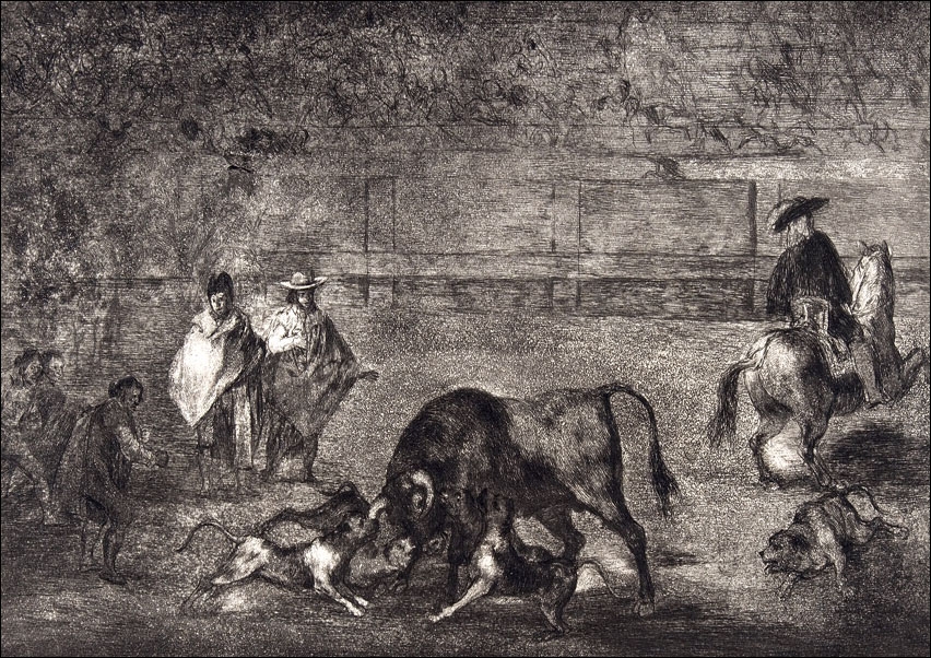 Plate C- The dogs let loose on the bull, Francisco Goya - plakat Wymiar do wyboru: 40x30 cm