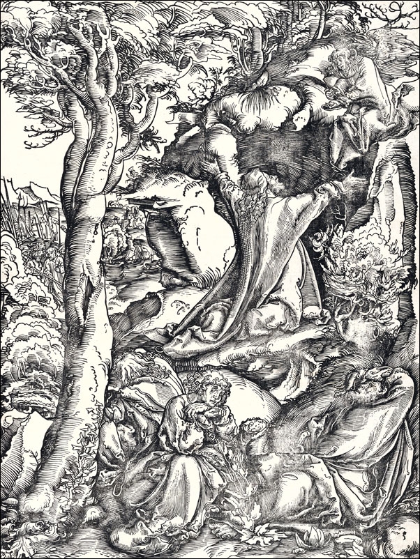 Christ on the Mount of Olives, Lucas Cranach the Elder - plakat Wymiar do wyboru: 40x50 cm