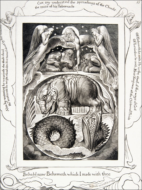 Behemoth and Leviathan, William Blake - plakat Wymiar do wyboru: 30x40 cm