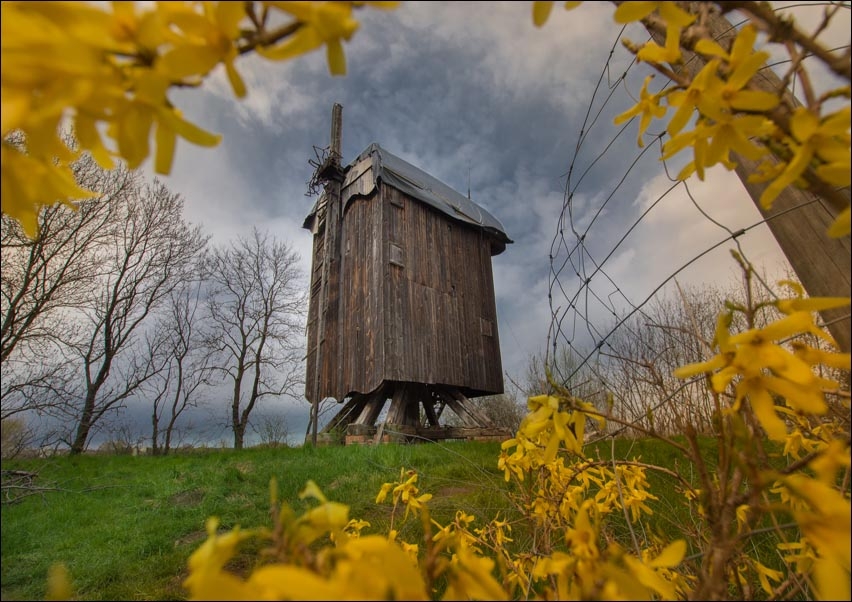 Wiatrak II - plakat Wymiar do wyboru: 70x50 cm