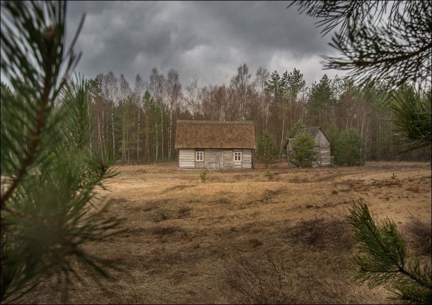 Stara chatka - plakat Wymiar do wyboru: 40x30 cm