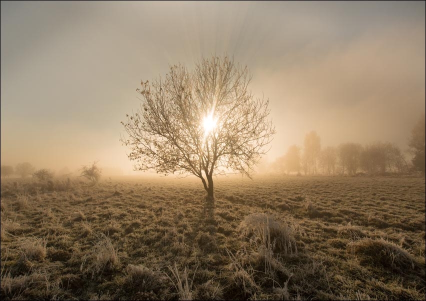 Wschód słońca - plakat Wymiar do wyboru: 42x29,7 cm