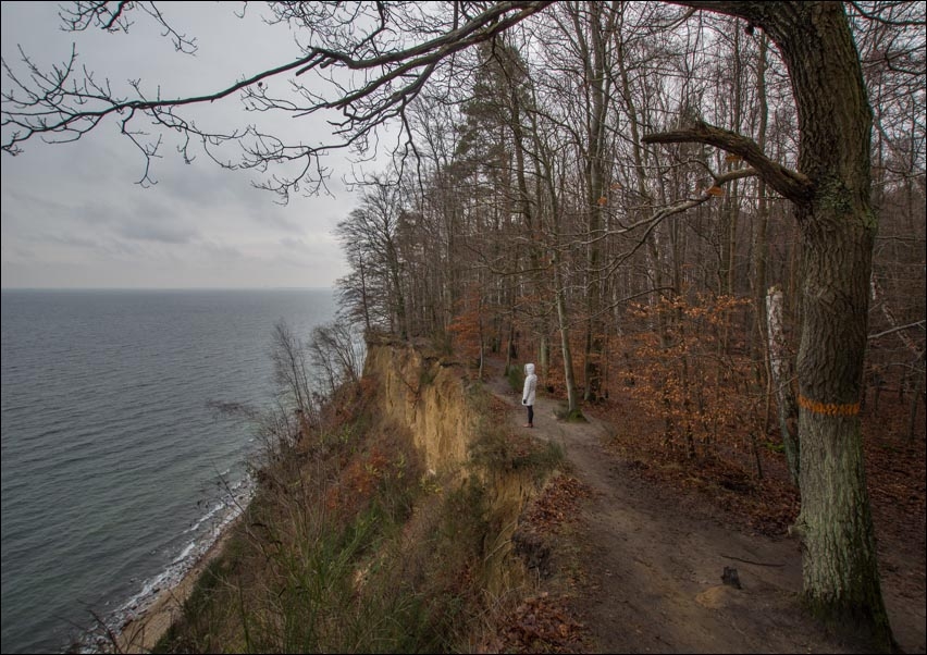 Na klifie - plakat Wymiar do wyboru: 100x70 cm