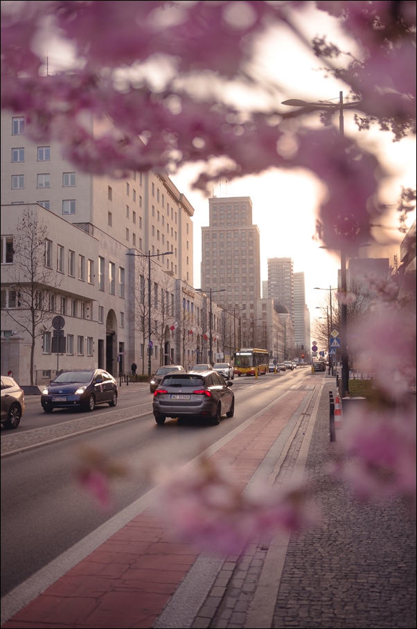 Kwitnąca Warszawa - plakat premium Wymiar do wyboru: 30x40 cm