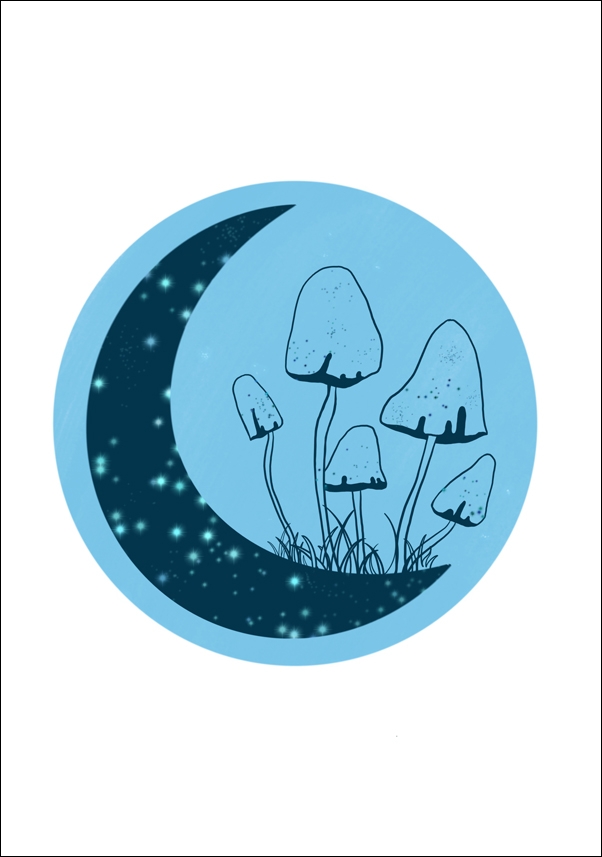 Grzybki - plakat Wymiar do wyboru: 50x70 cm