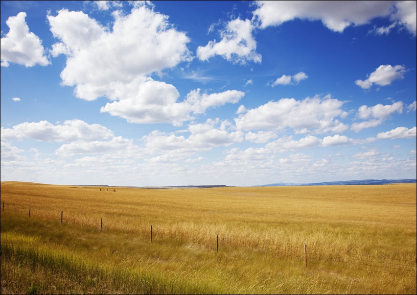 South Dakota rural scene., Carol Highsmith - plakat 100x70 cm