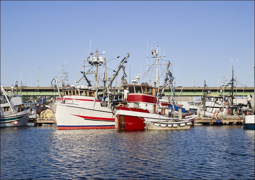 Boats at the docks in Seattle, Washington, Carol Highsmith - plakat 70x50 cm