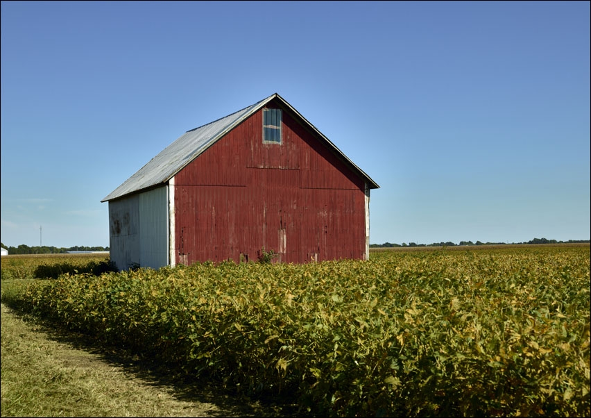 Red barn in a field., Carol Highsmith - plakat 70x50 cm