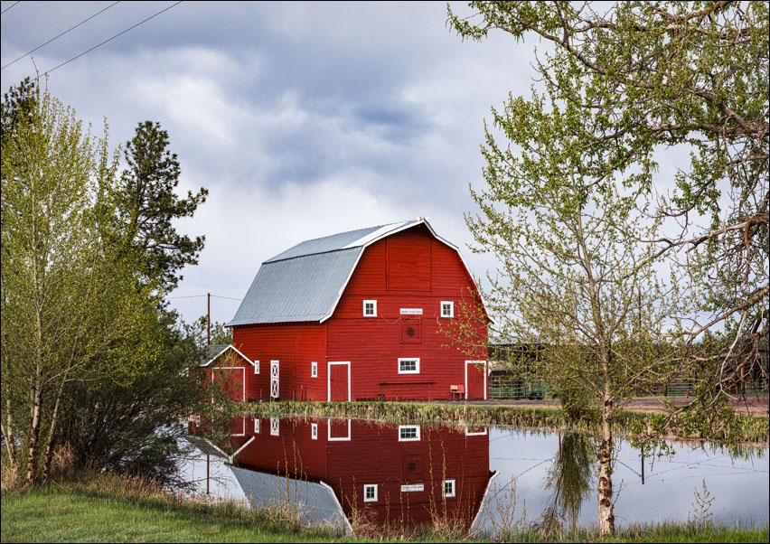 Barn and reflection in Oregon., Carol Highsmith - plakat 70x50 cm