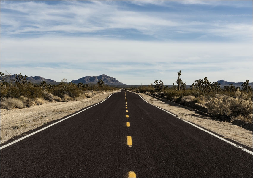 A very long and very brown road in the Mojave National Preserve in California, Carol Highsmith - plakat 70x50 cm