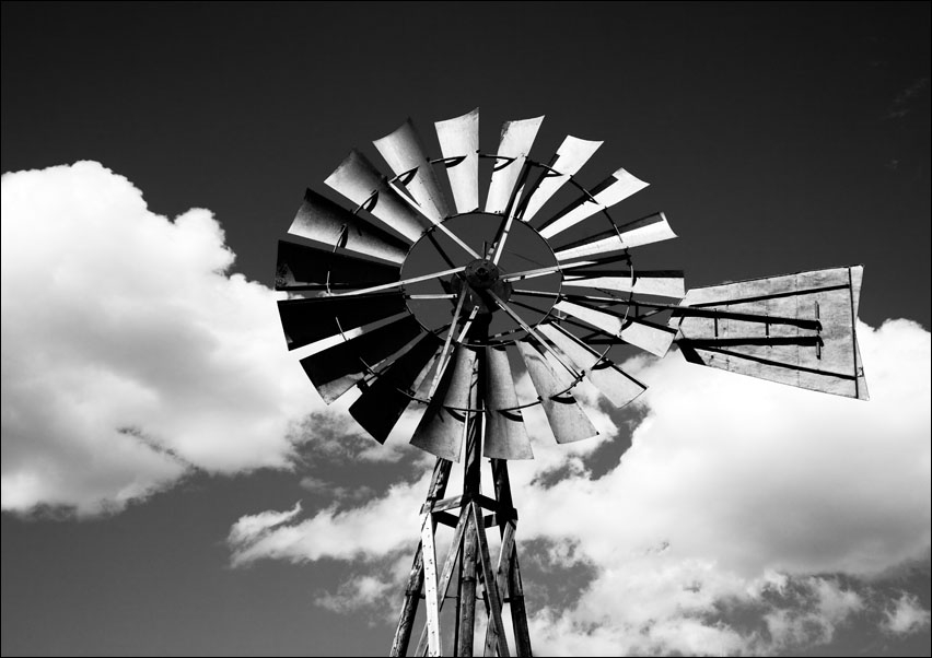 Memorabilia from a Mainstreet., Carol Highsmith - plakat 40x30 cm