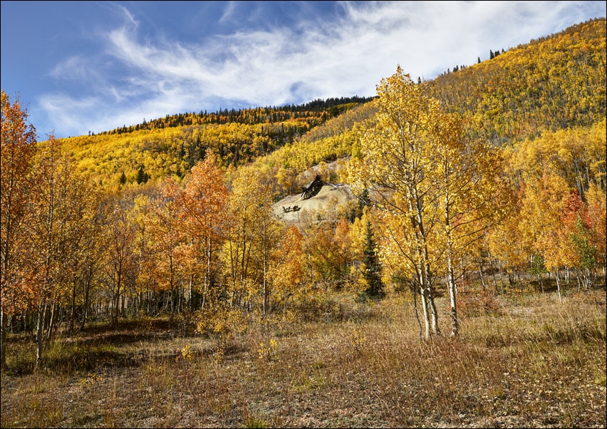 Fall aspens in San Juan County, Colorado., Carol Highsmith - plakat 59,4x42 cm