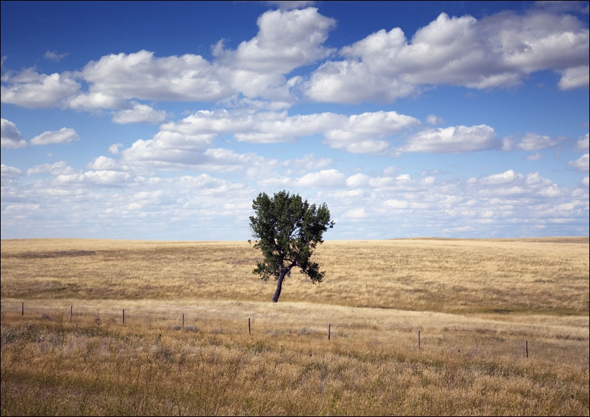 South Dakota rural scene, Carol Highsmith - plakat 100x70 cm