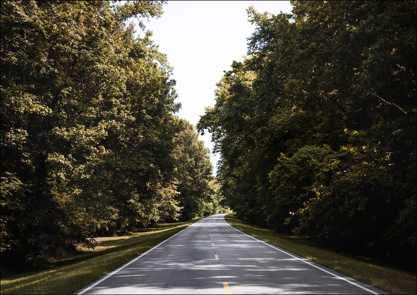 top Natchez Trace parkway in Florence, Alabama, Carol Highsmith - plakat 100x70 cm