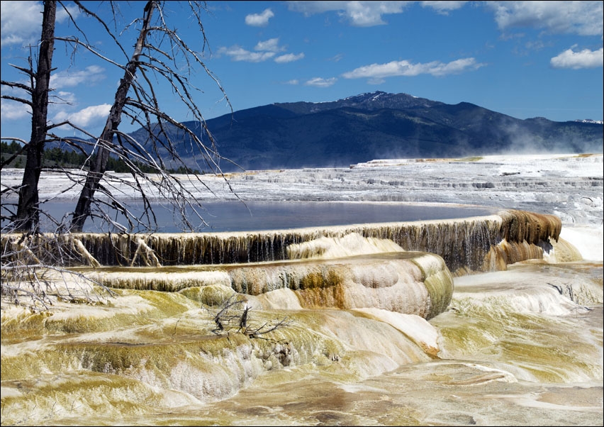 Yellowstone National Park Mammoth Hot Springs, Carol Highsmith - plakat 50x40 cm