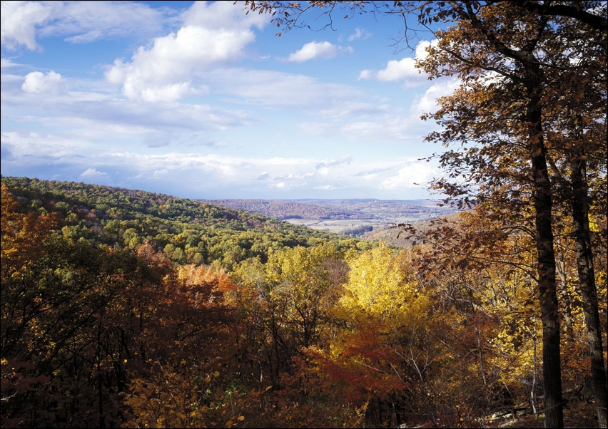 Catoctin Mountain Park in Maryland, Carol Highsmith - plakat 42x29,7 cm