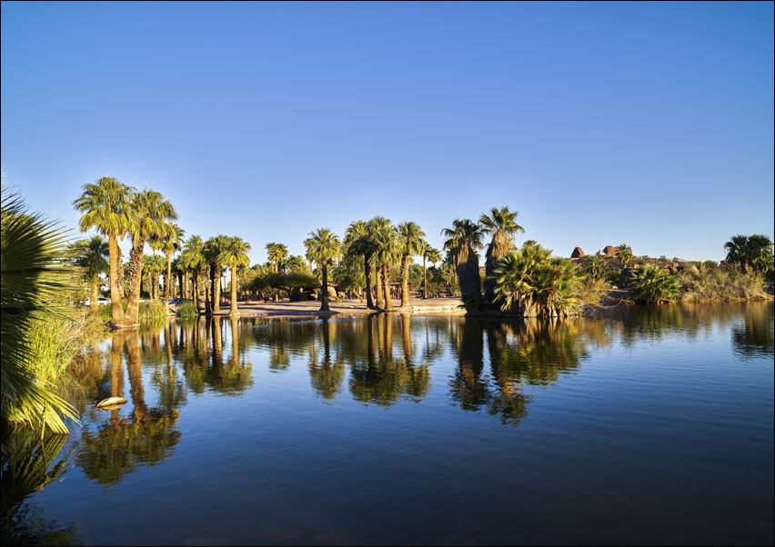 Palm-lined pond in Papago Park, a mountainside park in the middle of booming Phoenix, Arizona, Carol Highsmith - plakat 70x50 cm