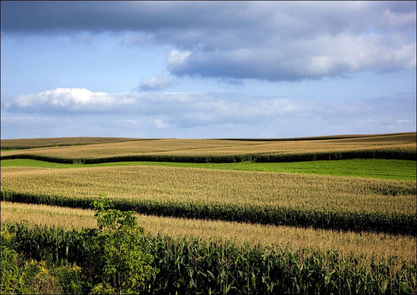 Rural Wisconsin., Carol Highsmith - plakat 100x70 cm