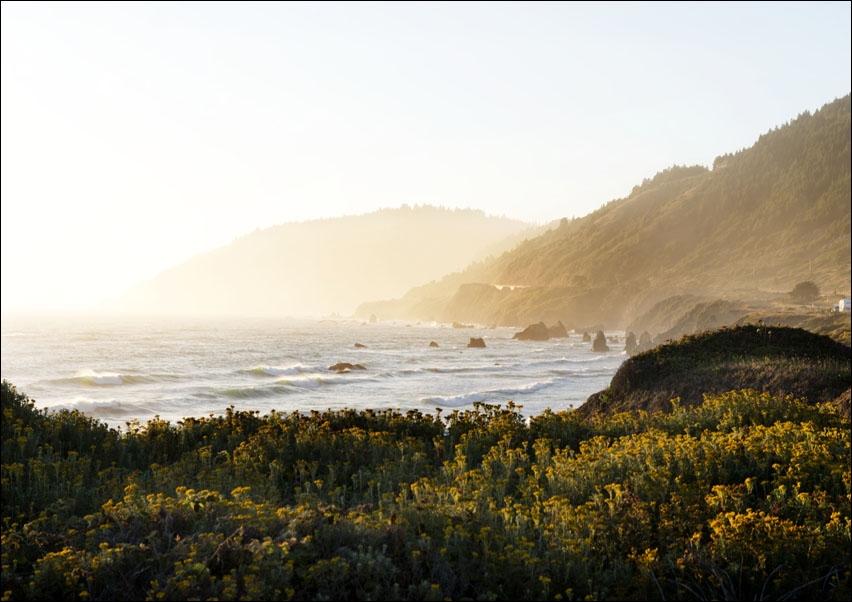 Route 1 along the Pacific Ocean in Northern California., Carol Highsmith - plakat 40x30 cm