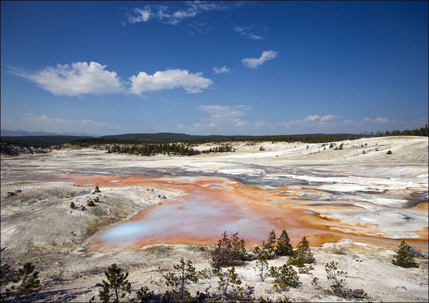 Mudpots and hot springs color the terrain in northwestern Wyoming’s Yellowstone National Park, Carol Highsmith - plakat 100x70 cm