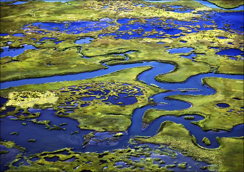 Marshlands on the New Jersey Shore near Little Egg Harbor, New Jersey., Carol Highsmith - plakat 70x50 cm