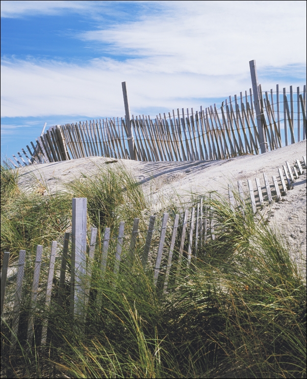 Stunning Light Shaft, Arizona Slot Canyon, Carol Highsmith - plakat 61x91,5 cm
