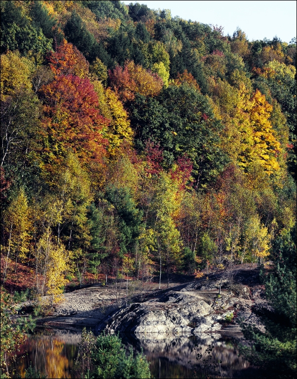Spectacular Yosemite Falls, Yosemite National Park., Carol Highsmith - plakat 50x70 cm