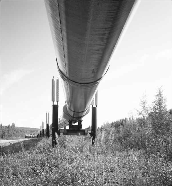 National Cathedral, Washington, Carol Highsmith - plakat 50x70 cm