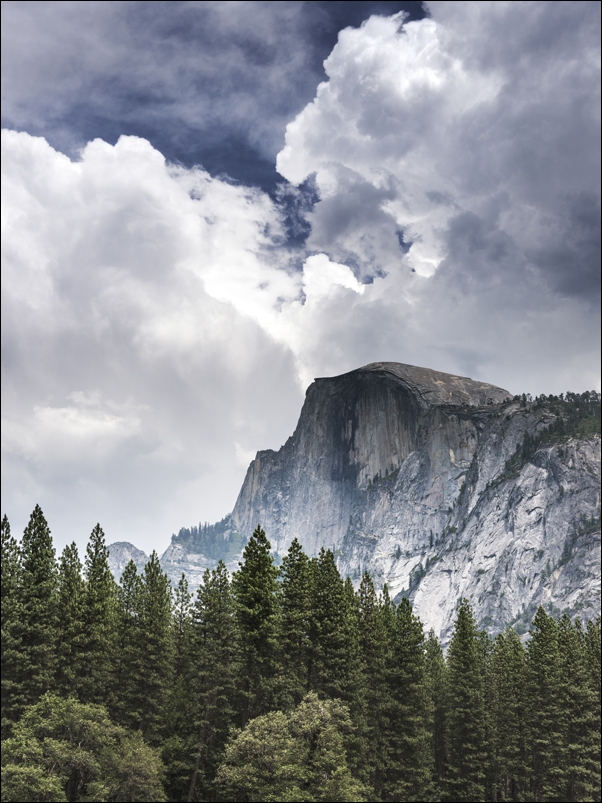 Montpelier Methodist Church in Baldwin County, Carol Highsmith - plakat 40x50 cm
