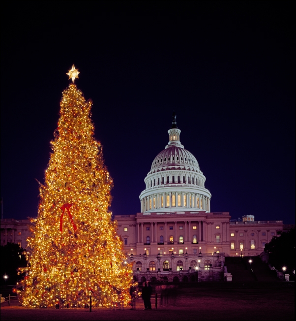 Paint horse at a farm., Carol Highsmith - plakat 29,7x42 cm